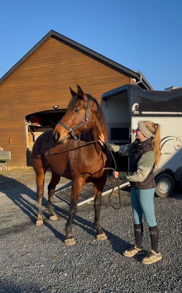 Poulini&egrave;re &agrave; vendre 