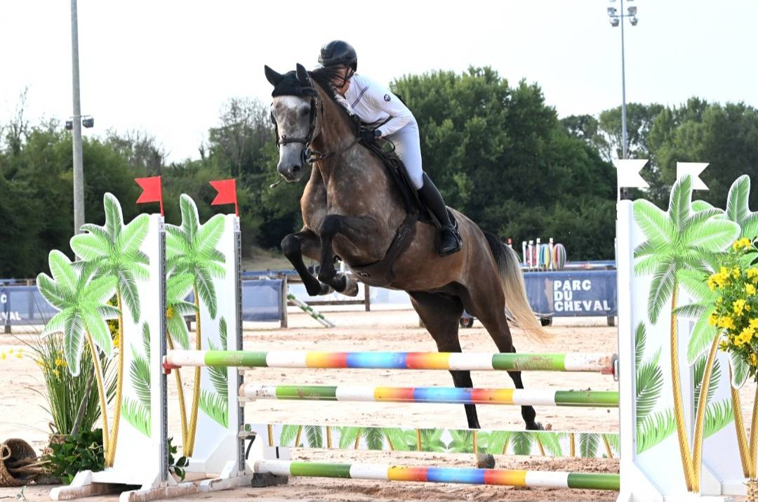 Jument SF top lign&eacute;e 