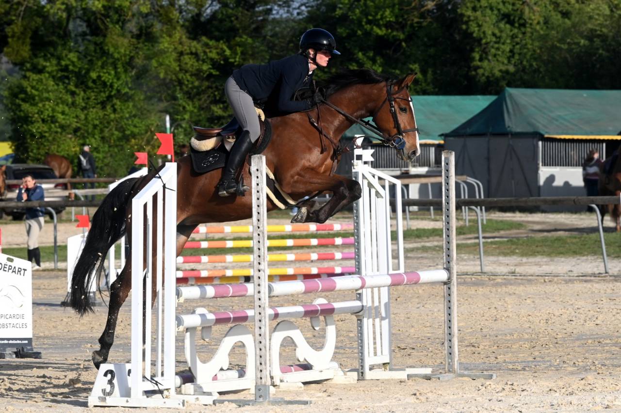 Jument SF 4 ans Cooper VD Heffnick 