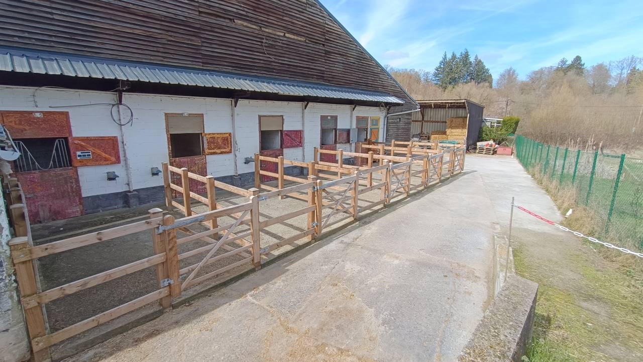 All&eacute;e de 5 boxes avec paddocks individuels &agrave; louer 