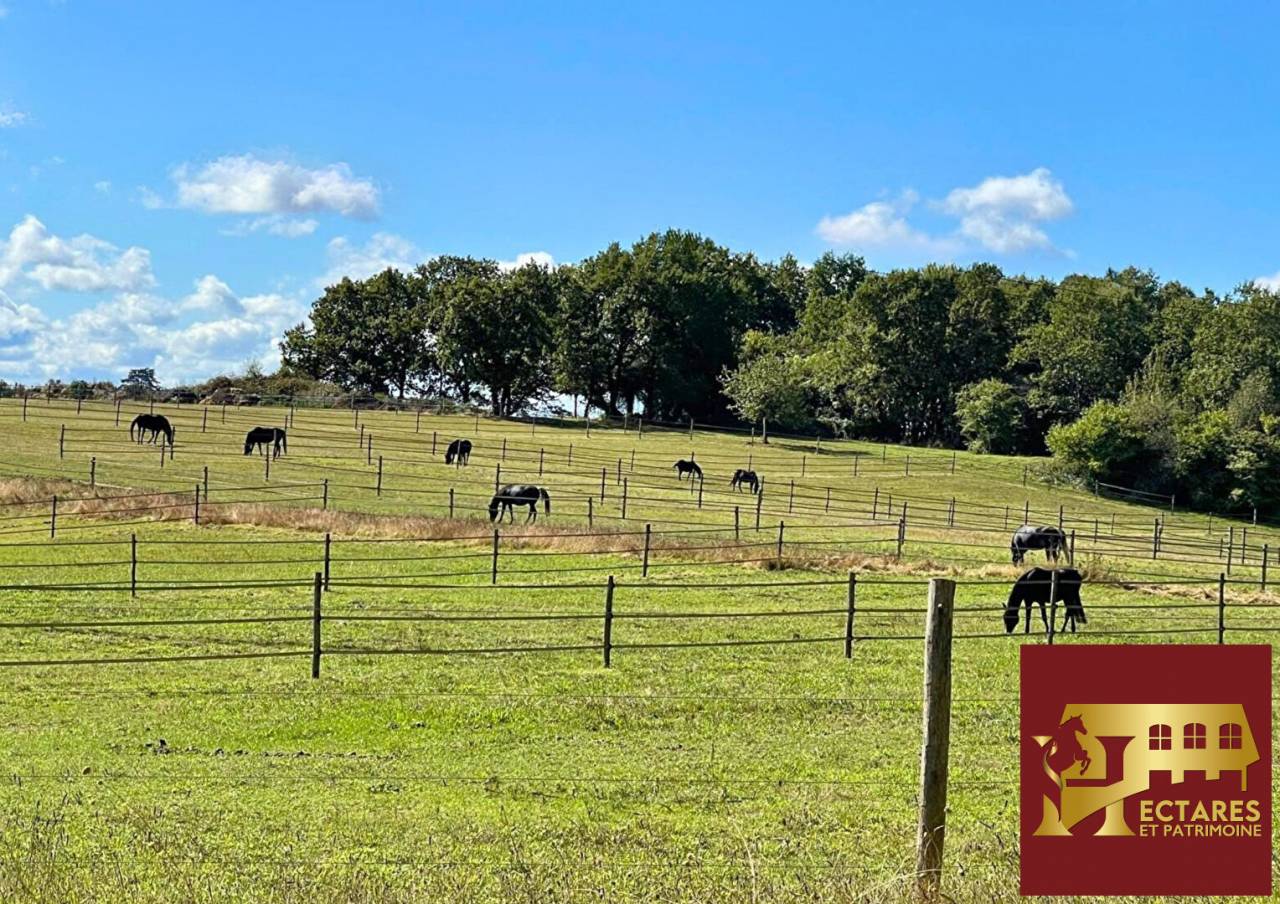 Domaine de 41 hectares, maison de ma&icirc;tre et installations &eacute;questres en P&eacute;rigord 