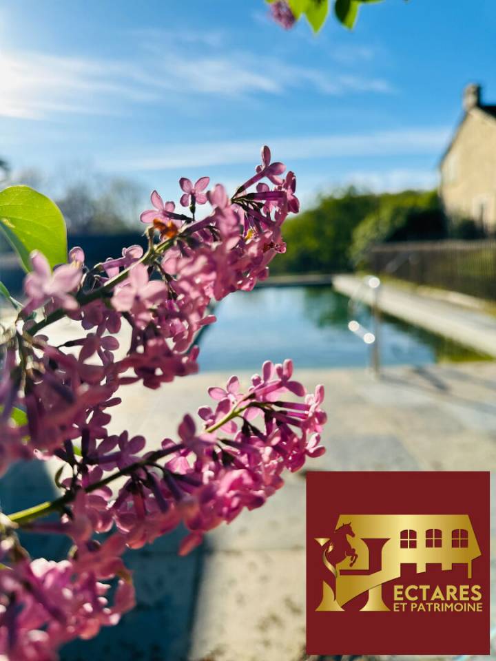 Domaine de 41 hectares, maison de ma&icirc;tre et installations &eacute;questres en P&eacute;rigord 