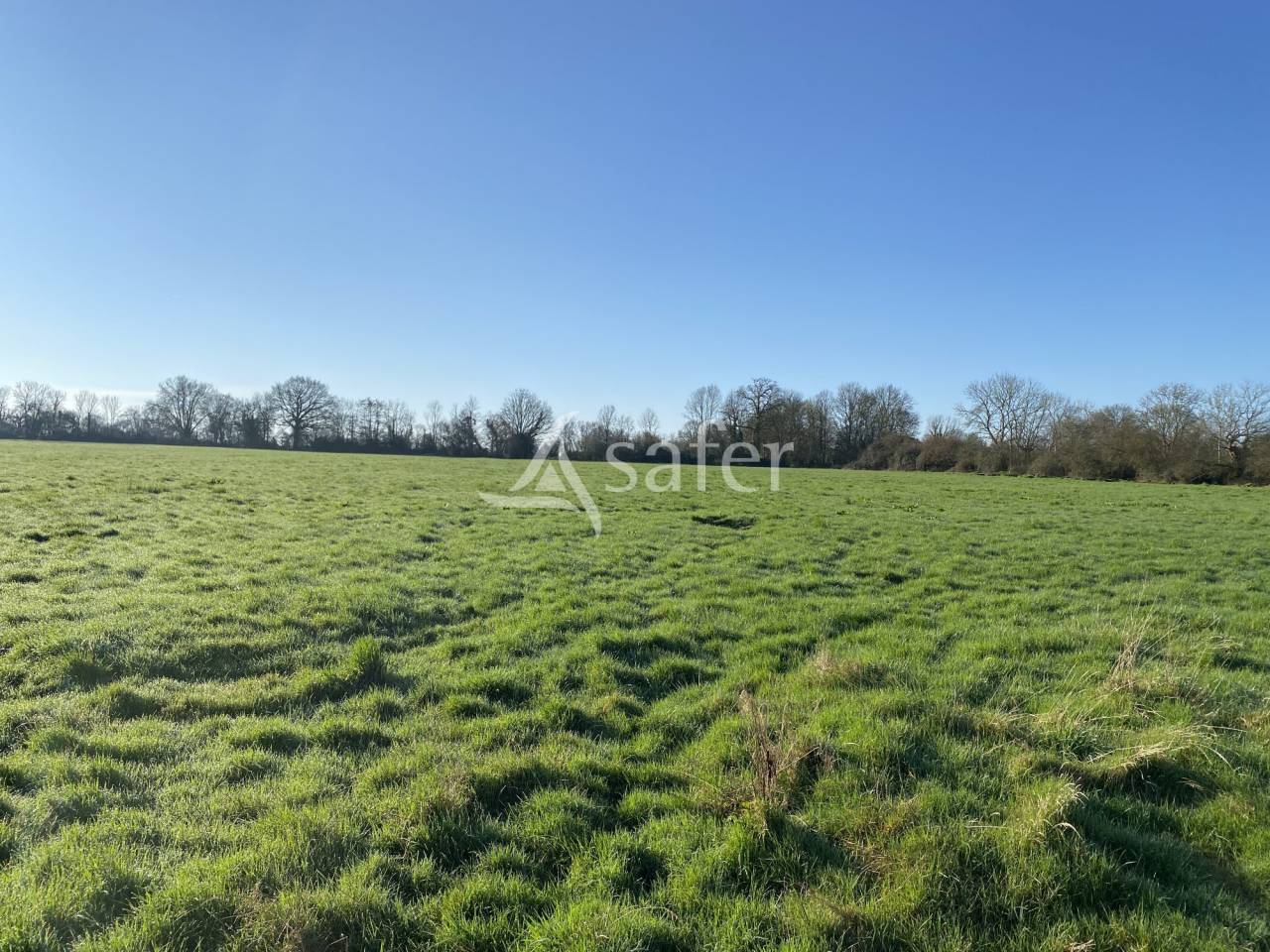 Propri&eacute;t&eacute; Herbag&egrave;re 54 hectares