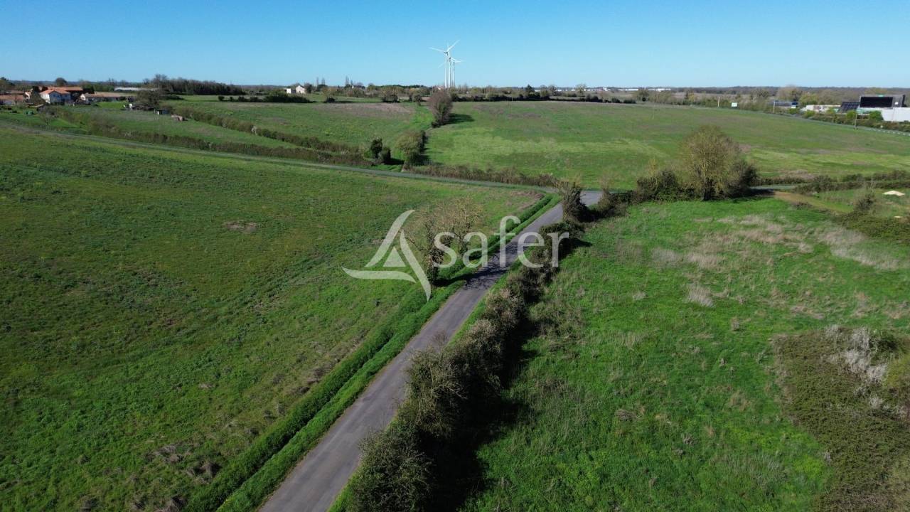 Exploitation c&eacute;r&eacute;ali&egrave;re sur 720 ha