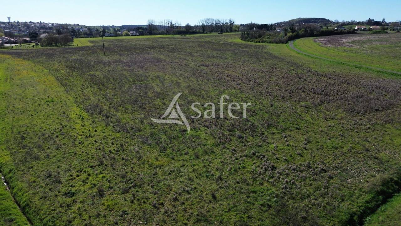 Exploitation c&eacute;r&eacute;ali&egrave;re sur 720 ha