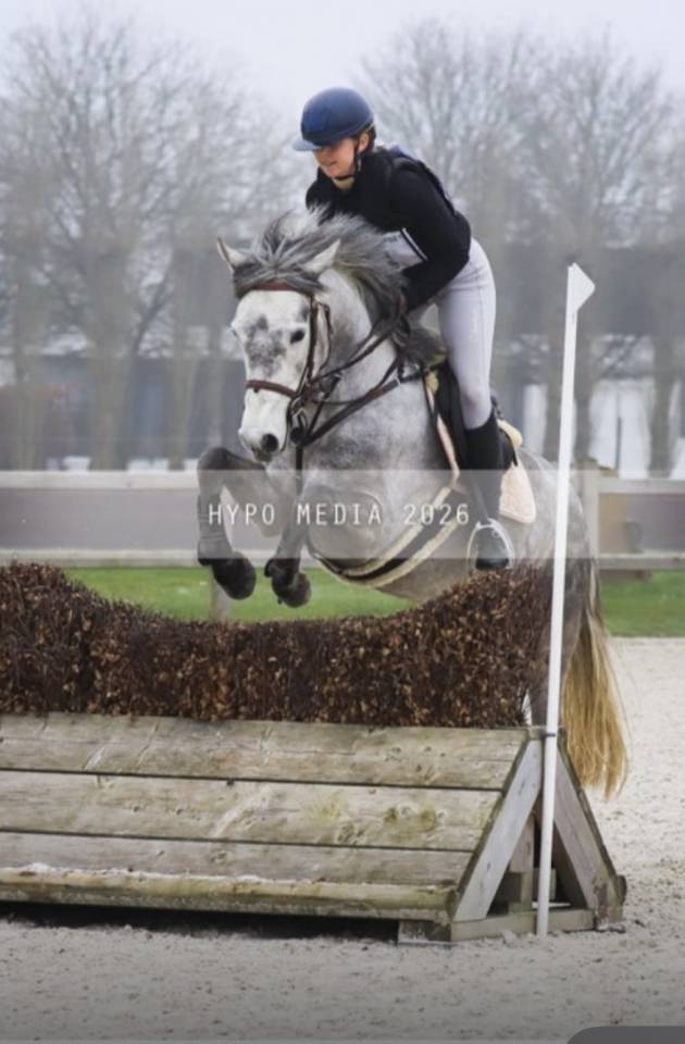 Poulain m&acirc;le de 2025 avec avenir sportif