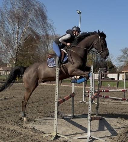 ⚠️⚠️⚠️Pilote sur les barres⚠️⚠️⚠️