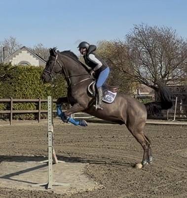 ⚠️⚠️⚠️Pilote sur les barres⚠️⚠️⚠️