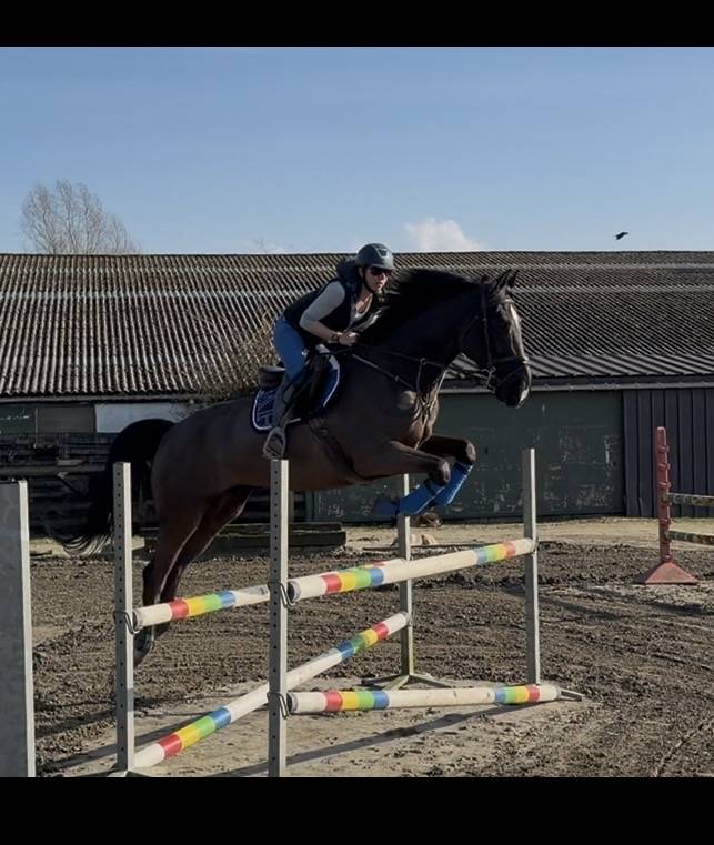 ⚠️⚠️⚠️Pilote sur les barres⚠️⚠️⚠️