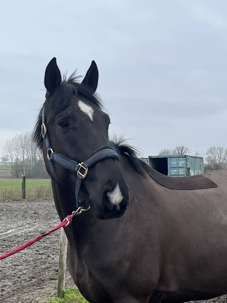 ⚠️⚠️⚠️Pilote sur les barres⚠️⚠️⚠️