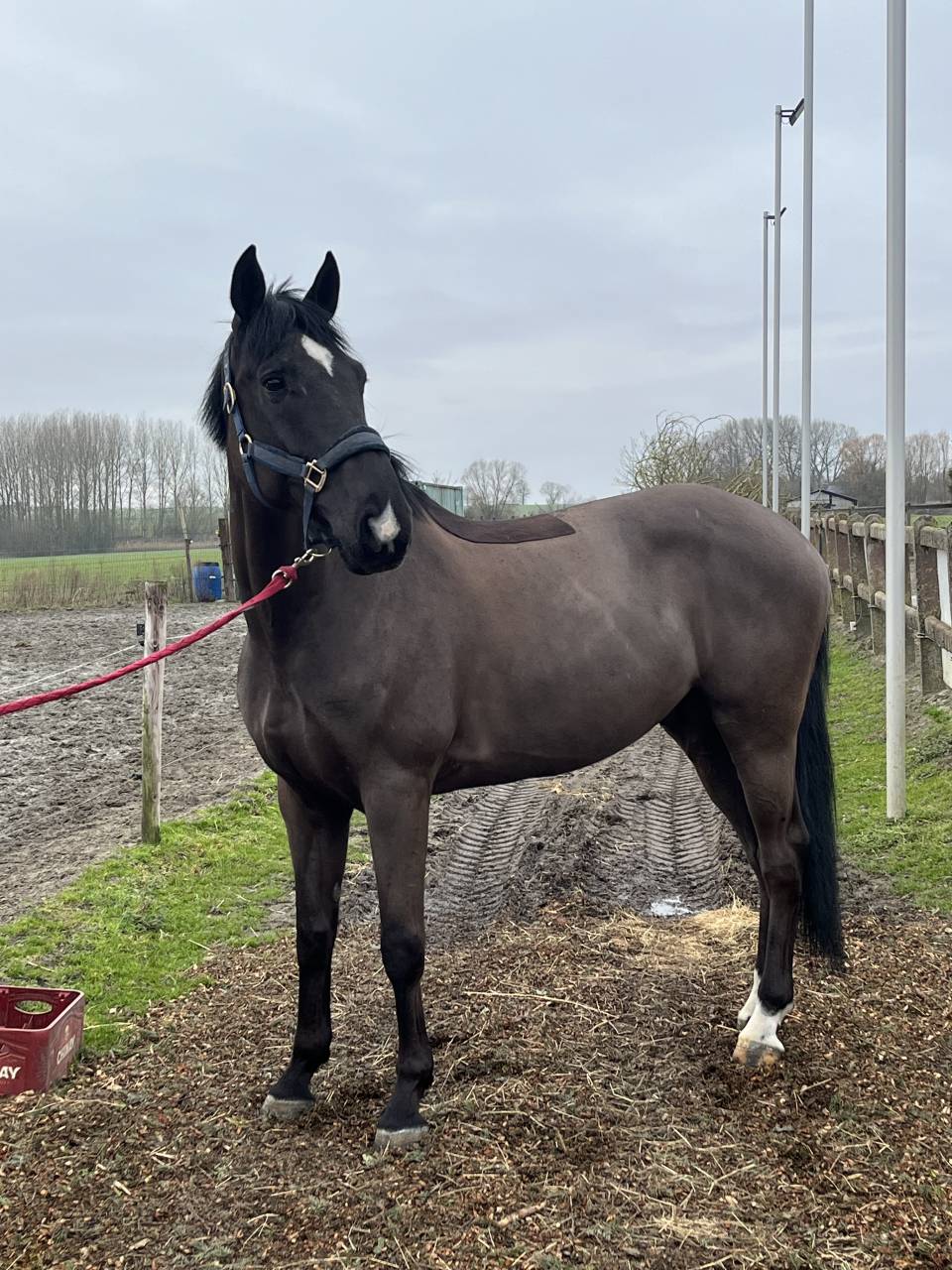 ⚠️⚠️⚠️Pilote sur les barres⚠️⚠️⚠️