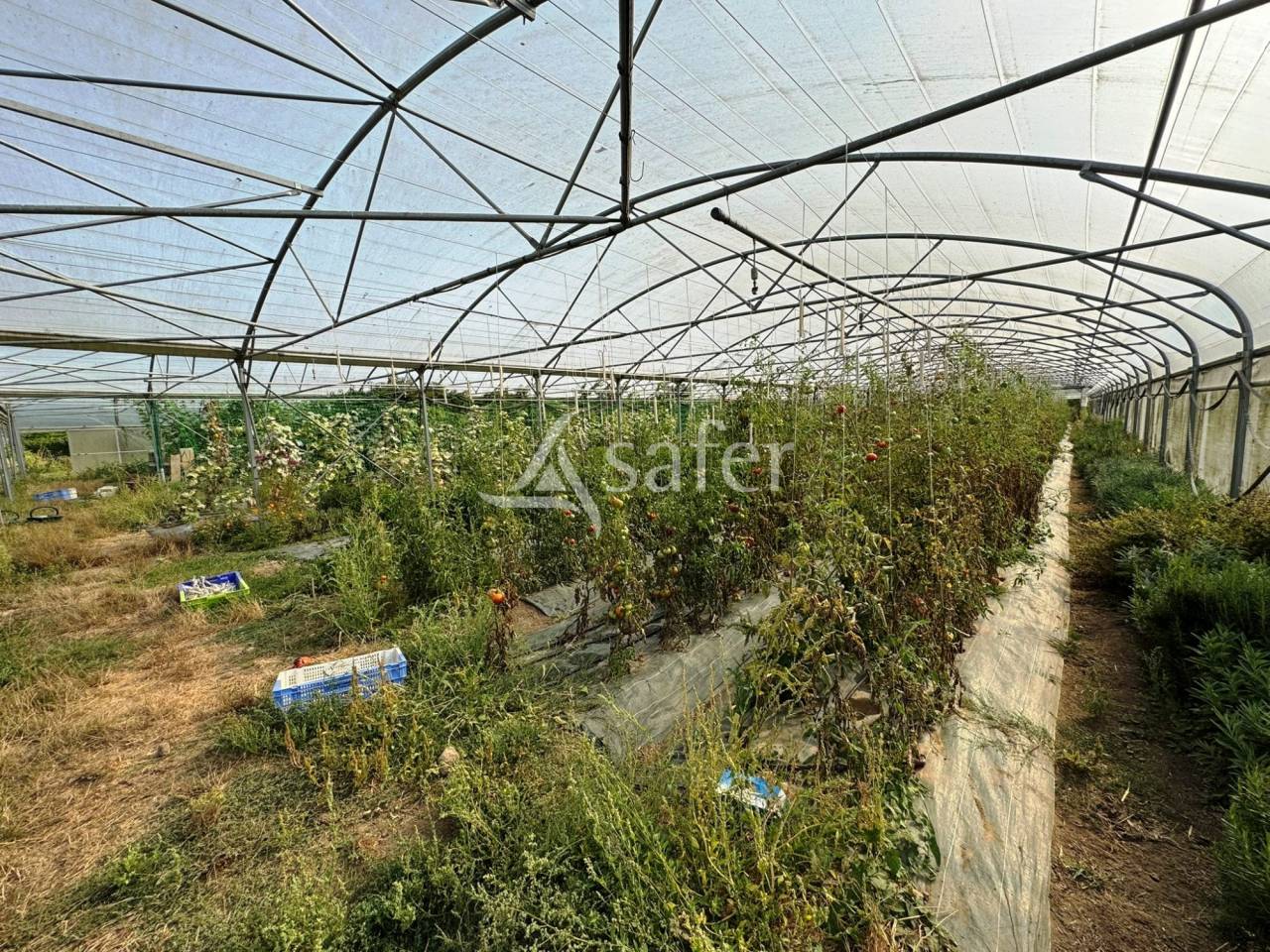 Exploitation Agricole