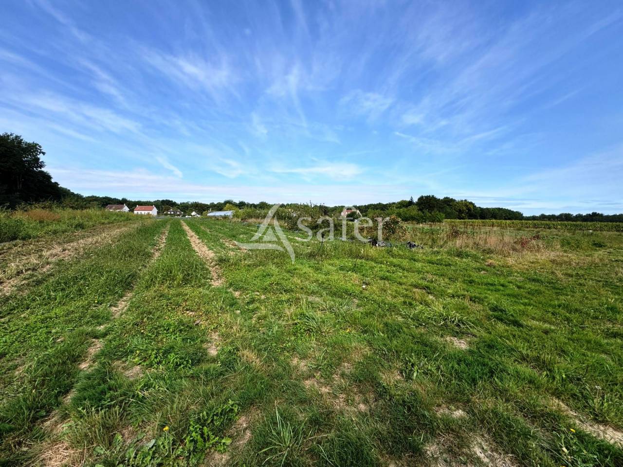 Exploitation Agricole