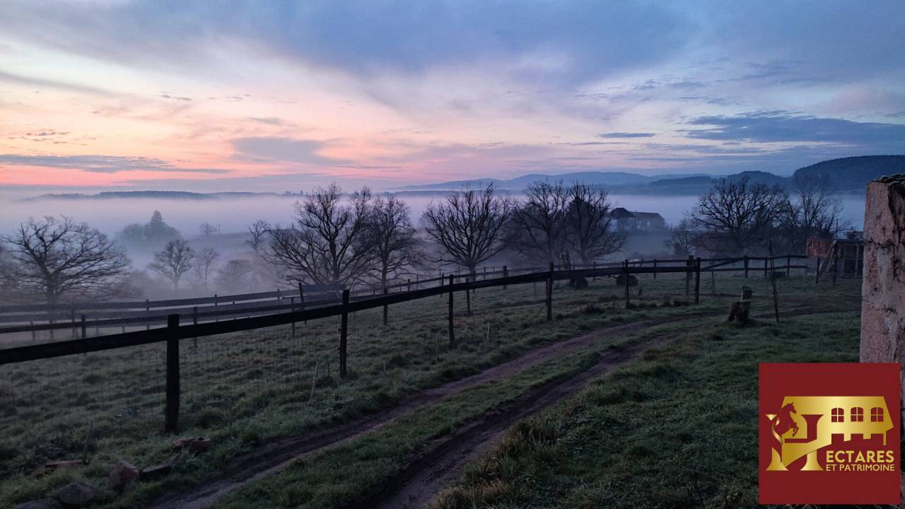 Propri&eacute;t&eacute; &eacute;questre 12,9 hectares