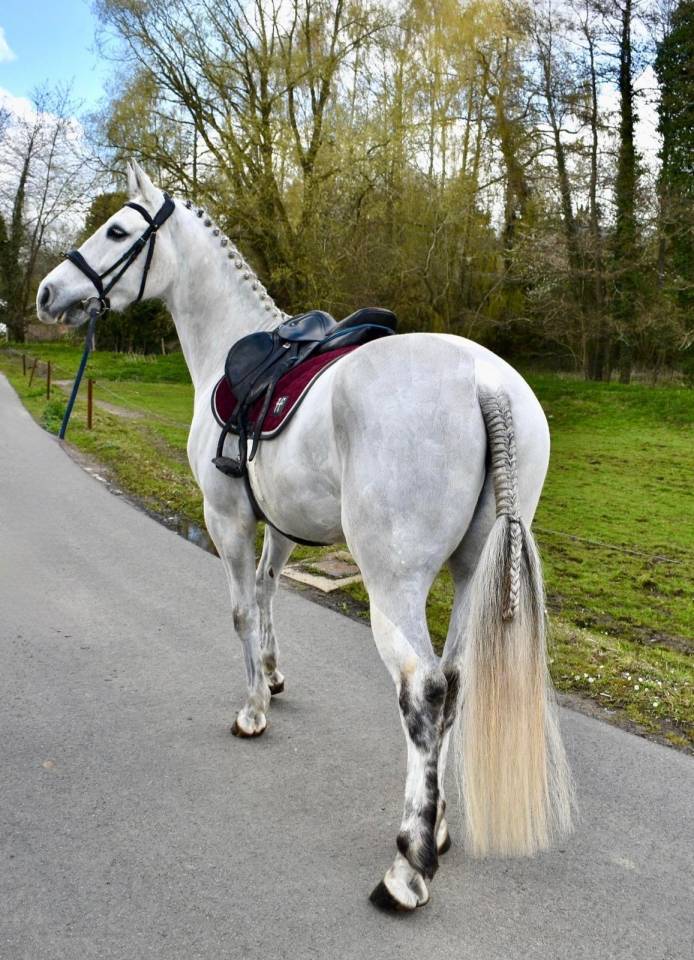 Super poney