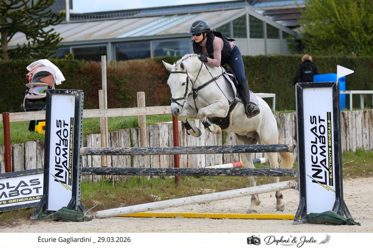 Super poney