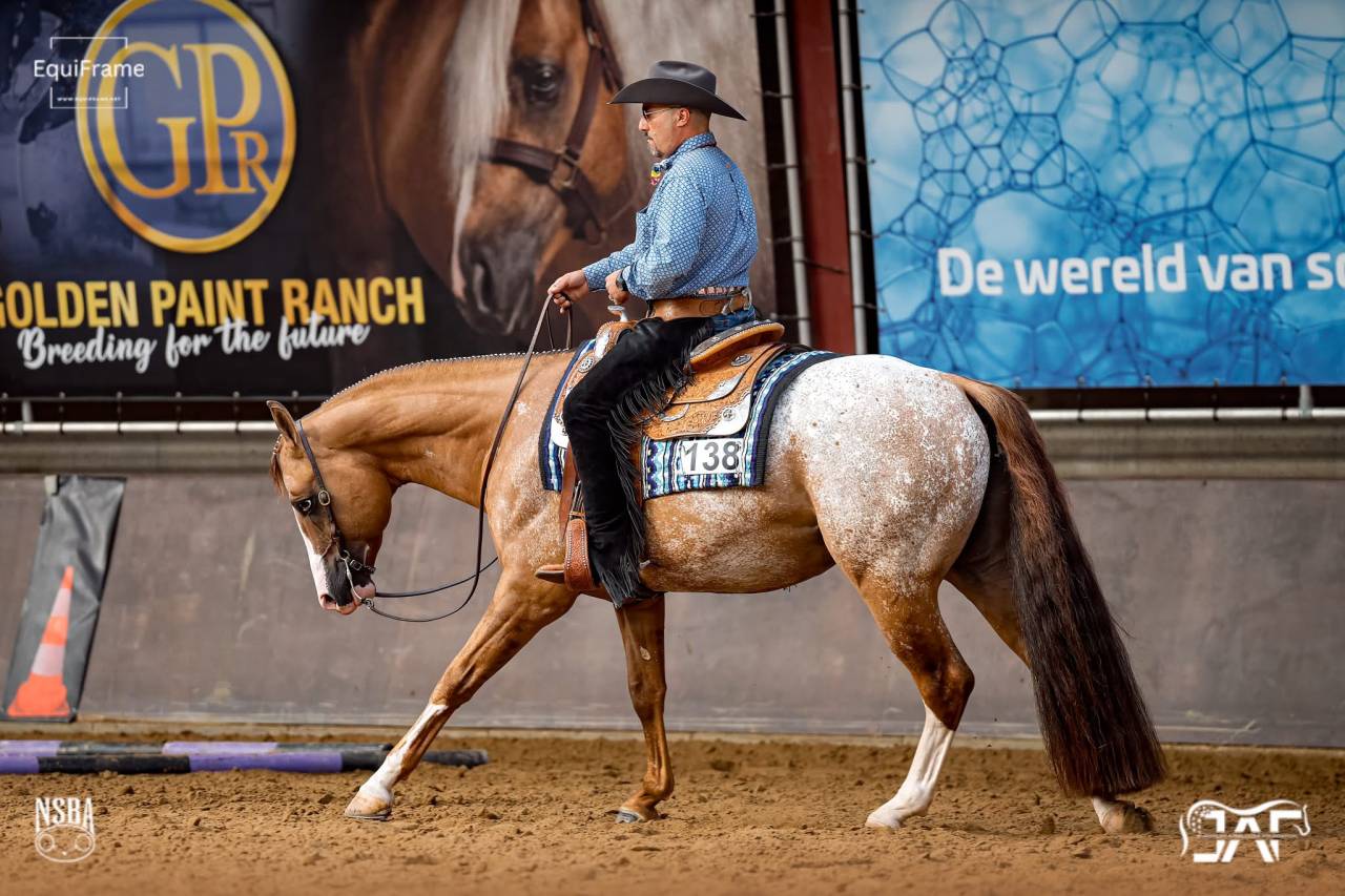 Jument appaloosa PP (ApHC) de 2024