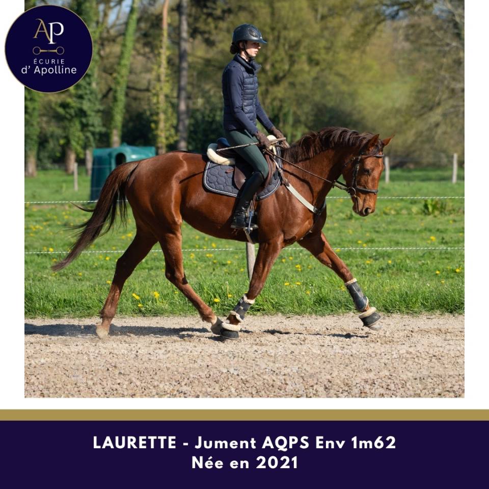 tr&egrave;s belle AQPS 5 ans