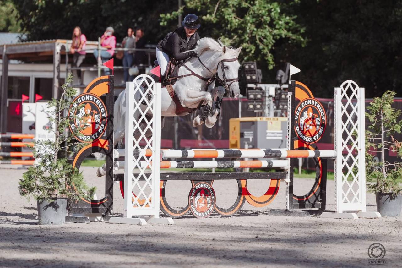 Cheval professeur  de 16 ans