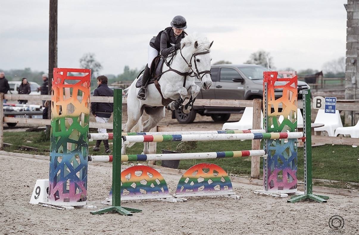 Cheval professeur  de 16 ans