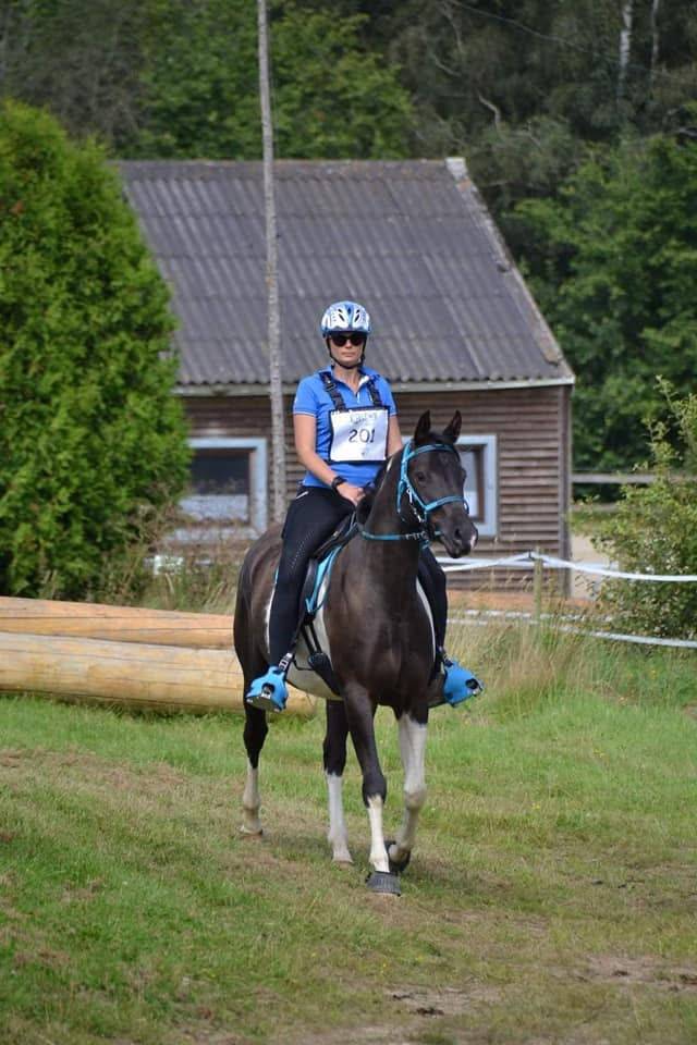 E.S HICERO   HONGRE DSA