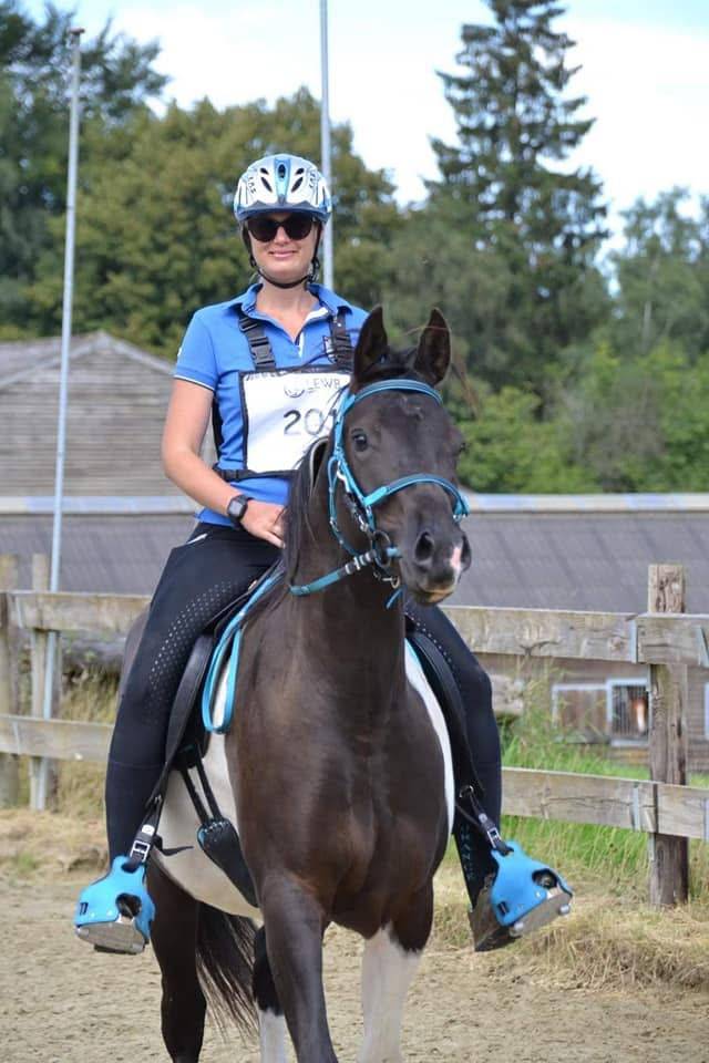 E.S HICERO   HONGRE DSA