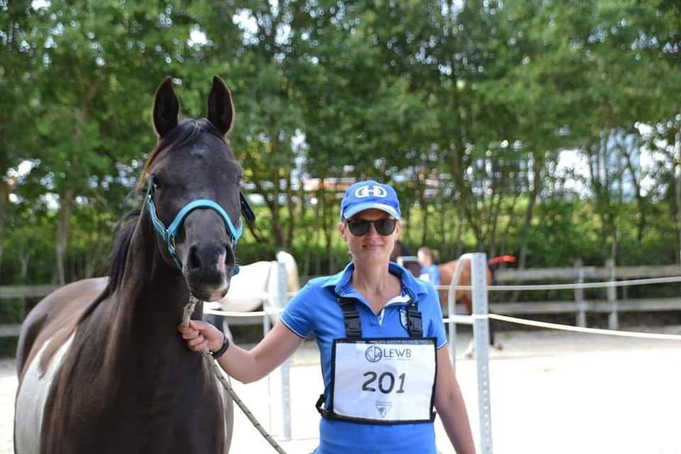 E.S HICERO   HONGRE DSA