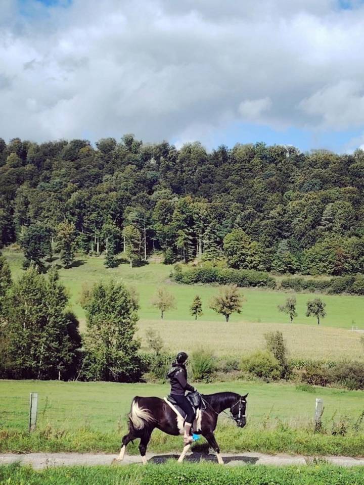 E.S HICERO   HONGRE DSA