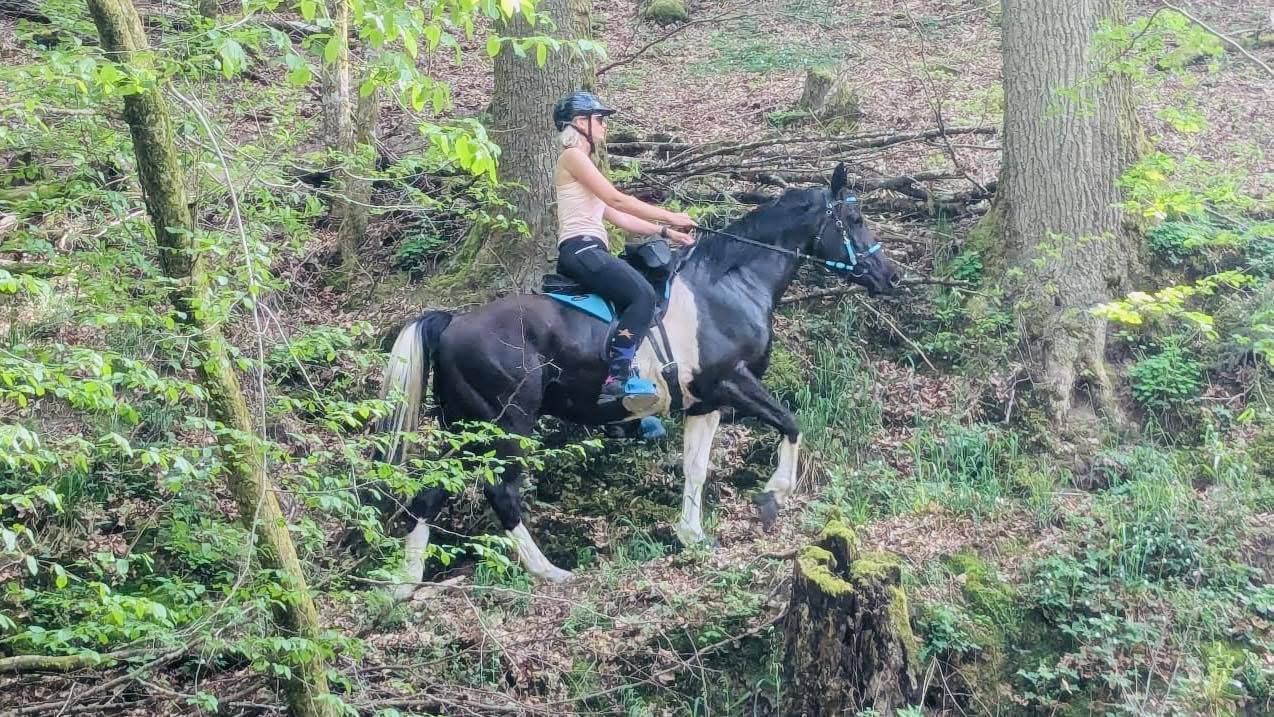 E.S HICERO   HONGRE DSA