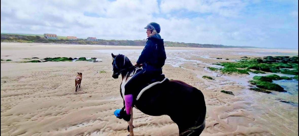 E.S HICERO   HONGRE DSA