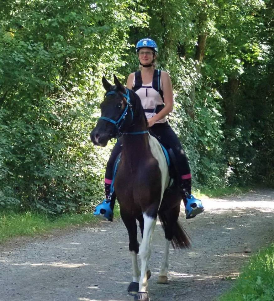 E.S HICERO   HONGRE DSA