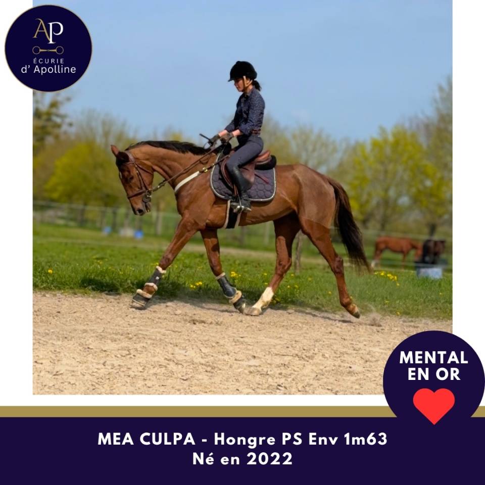 4 ans top mental et locoomotion plaisante