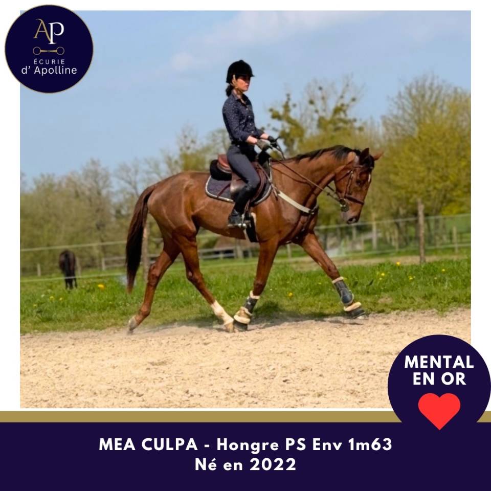 4 ans top mental et locoomotion plaisante