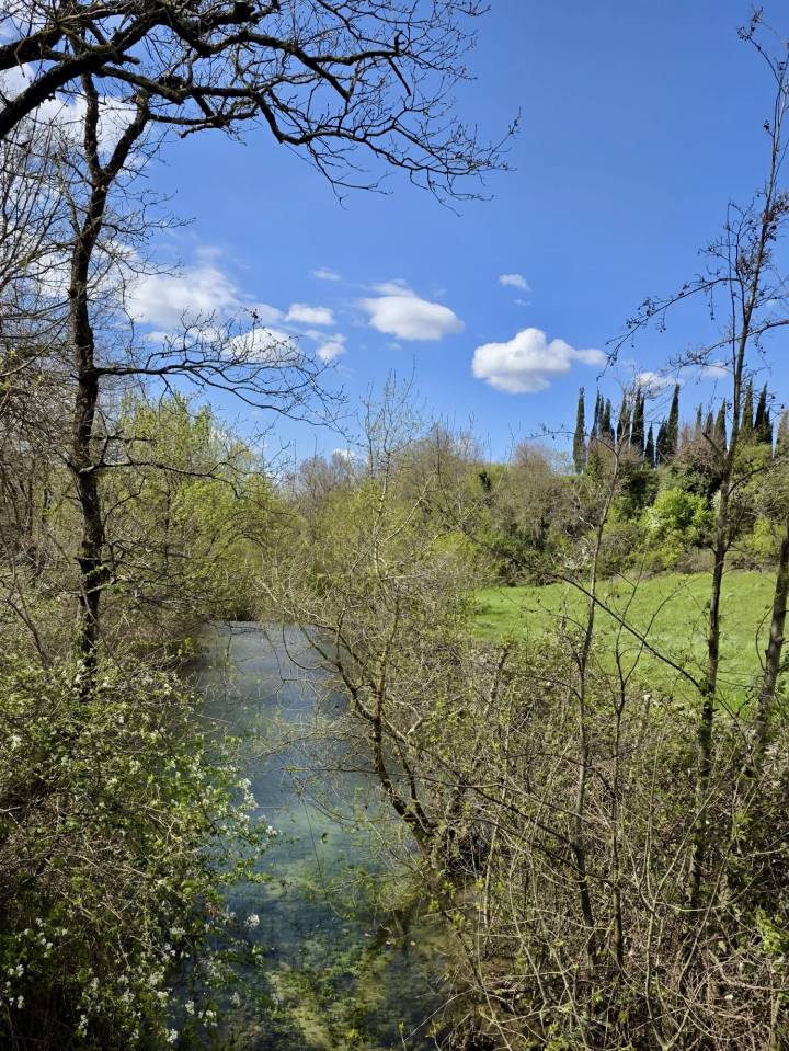 Propri&eacute;t&eacute; dans la Dr&ocirc;me de 15 hectares avec grand g&icirc;te