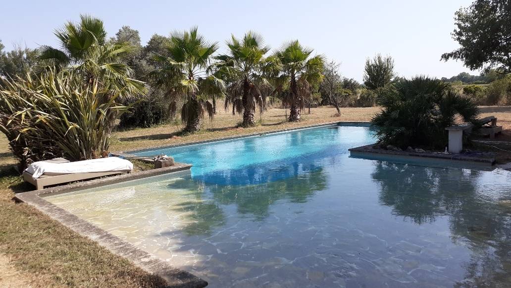 Propri&eacute;t&eacute; &eacute;questre d&rsquo;exception 13Ha 13990 Fontvieille