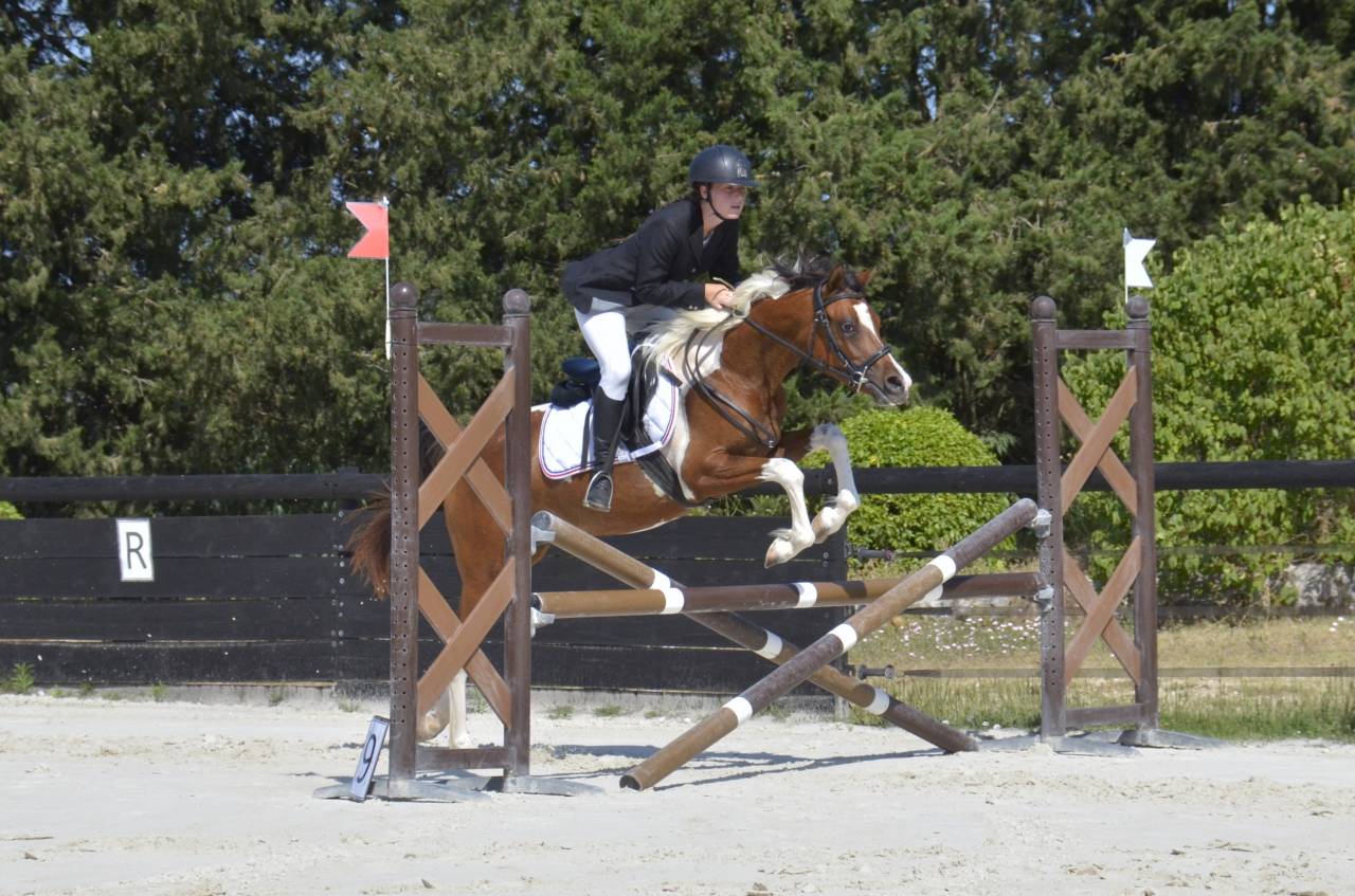 Pouliche Couleur Jument PSA Pur-Sang Arabe Baie DW19 