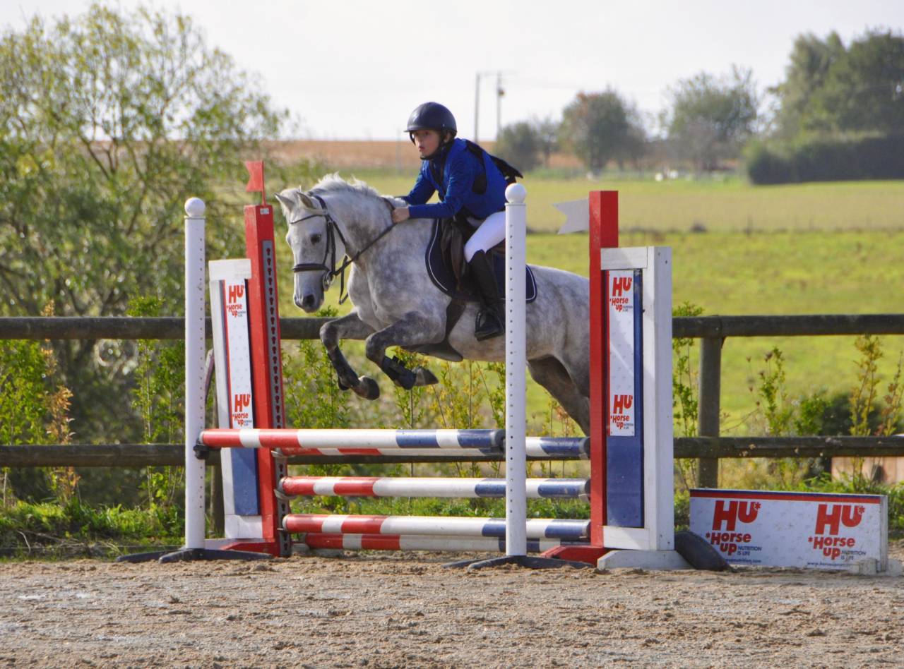 Poney C &agrave; vendre 