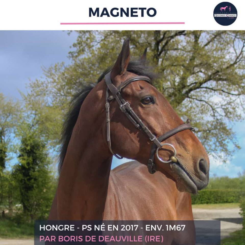 MAGNETO - PS - 9 ANS 