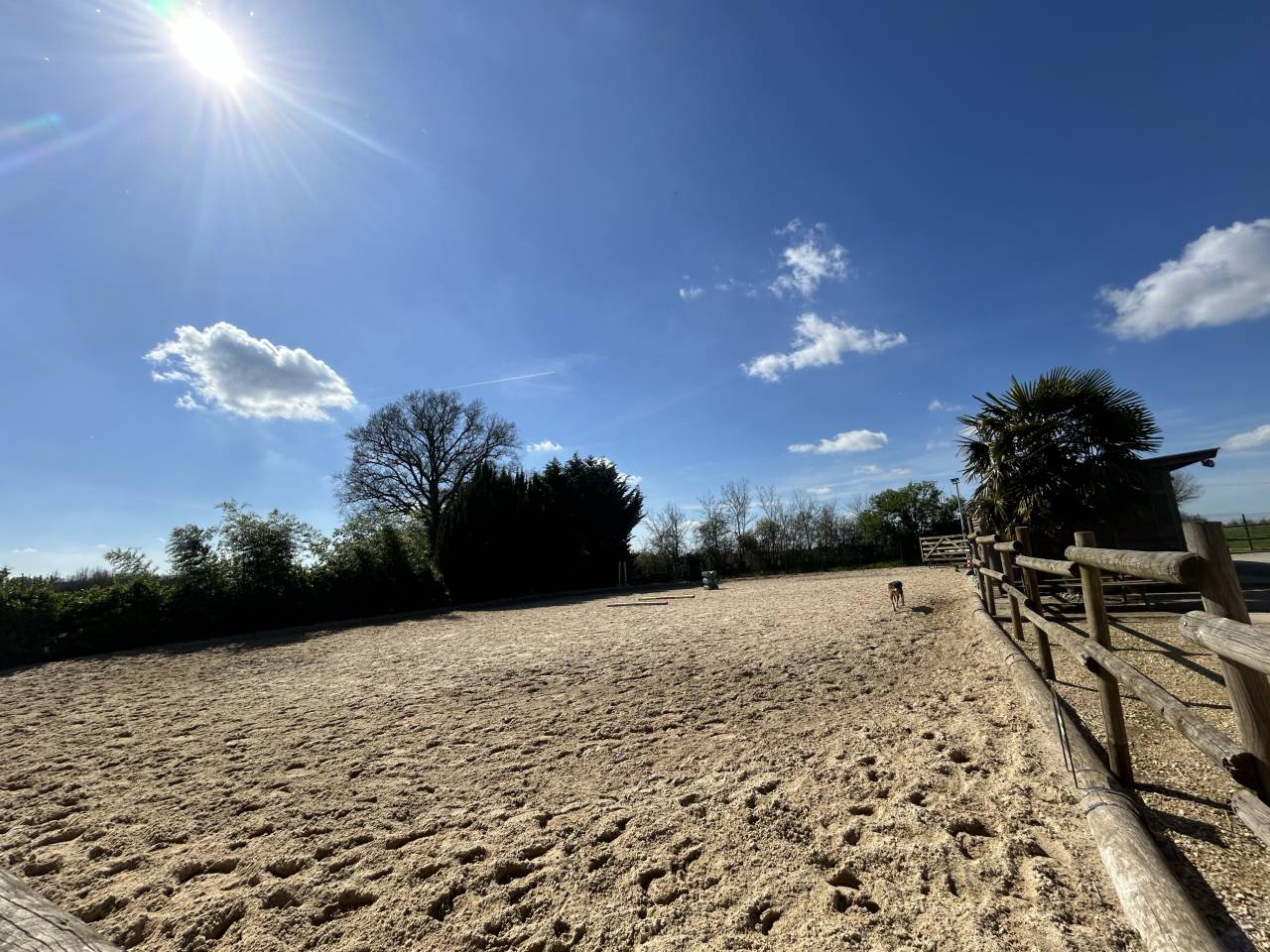 Domaine &eacute;questre sur 3 ha
