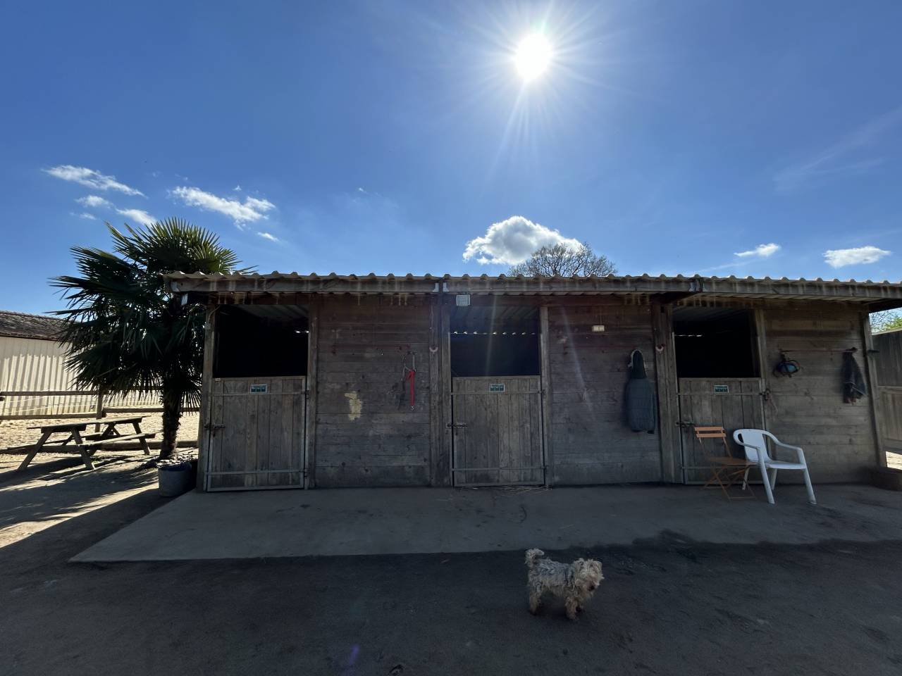 Domaine &eacute;questre sur 3 ha