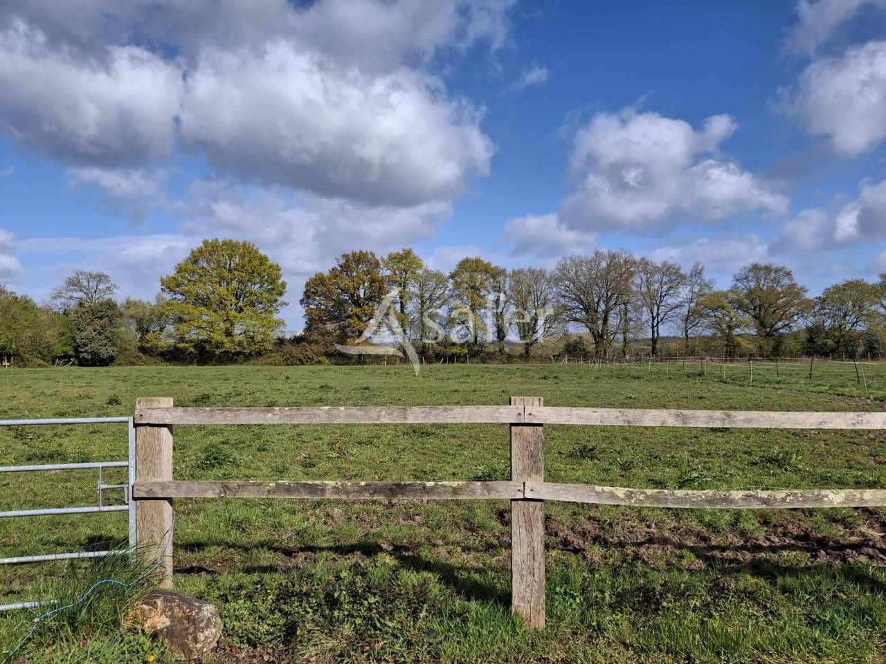 Propri&eacute;t&eacute; &eacute;questre de caract&egrave;re  Nord Loire-Atlantique