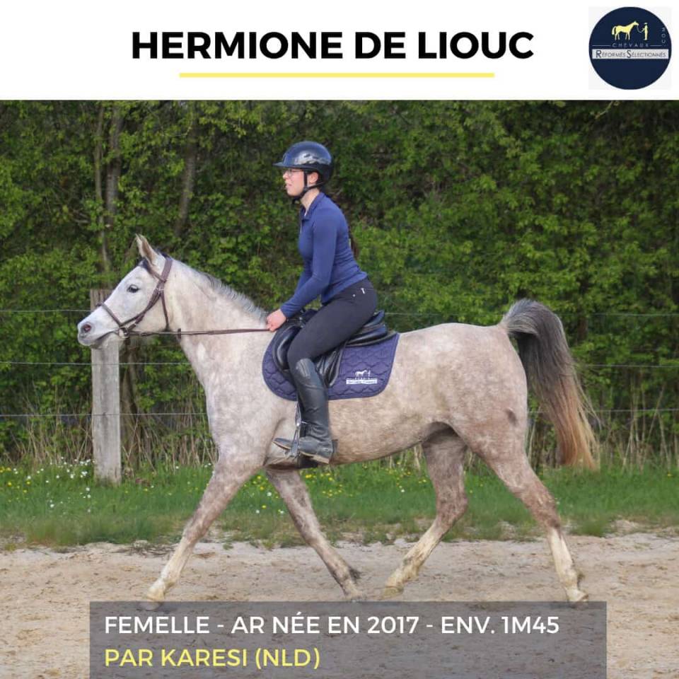 HERMIONE DE LIOUC - AR - 9 ANS 