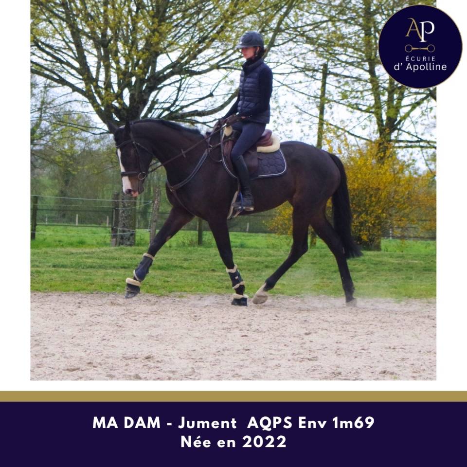 AQPS 4 ans magnifique mod&egrave;le env 1m69