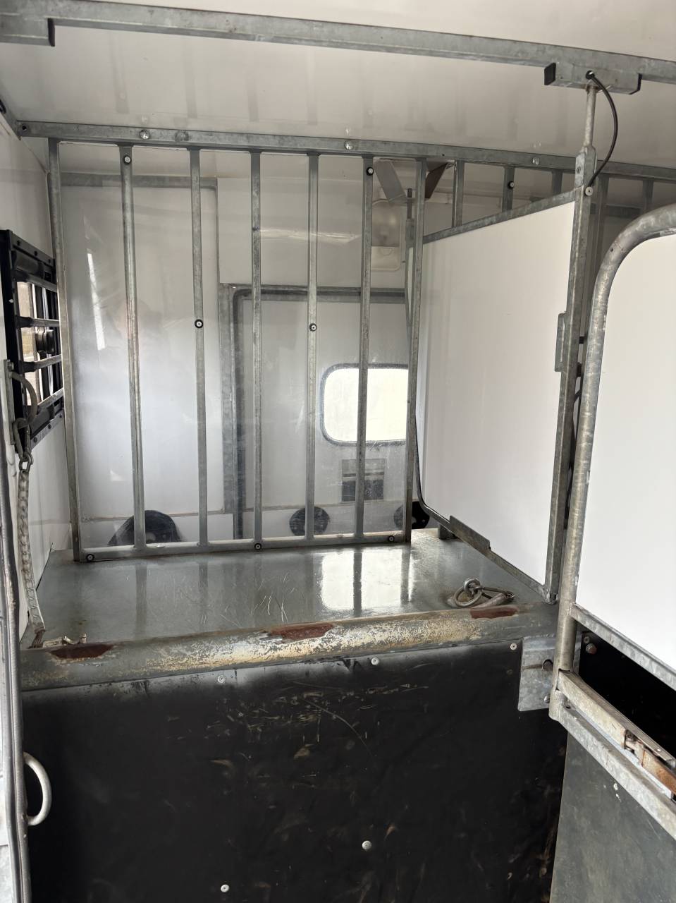 Camion chevaux Opel Movano