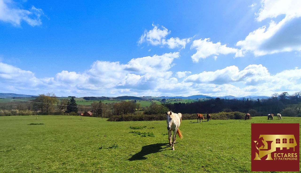Propri&eacute;t&eacute; &eacute;questre 6,5 hectares attenants