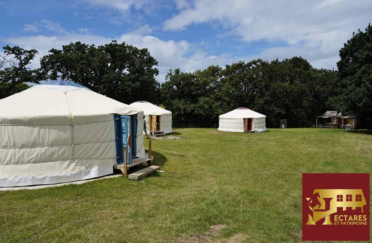 Centre &eacute;questre en activit&eacute; bord de mer