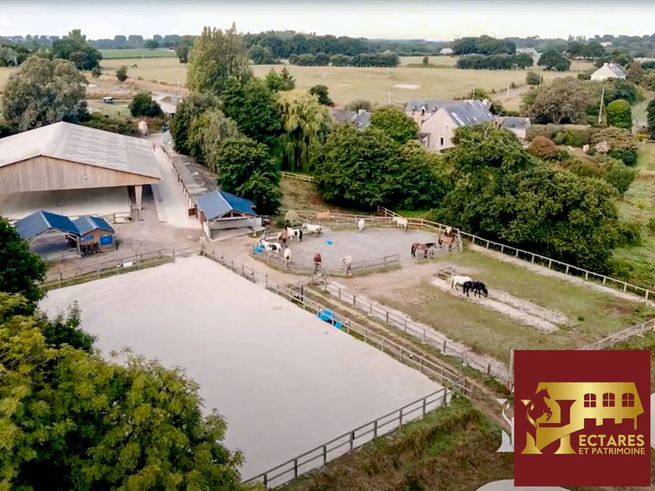 Centre &eacute;questre en activit&eacute; bord de mer