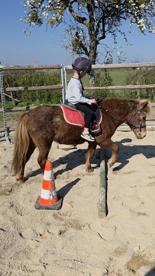 Ponette de confiance et d'exp&eacute;rience 