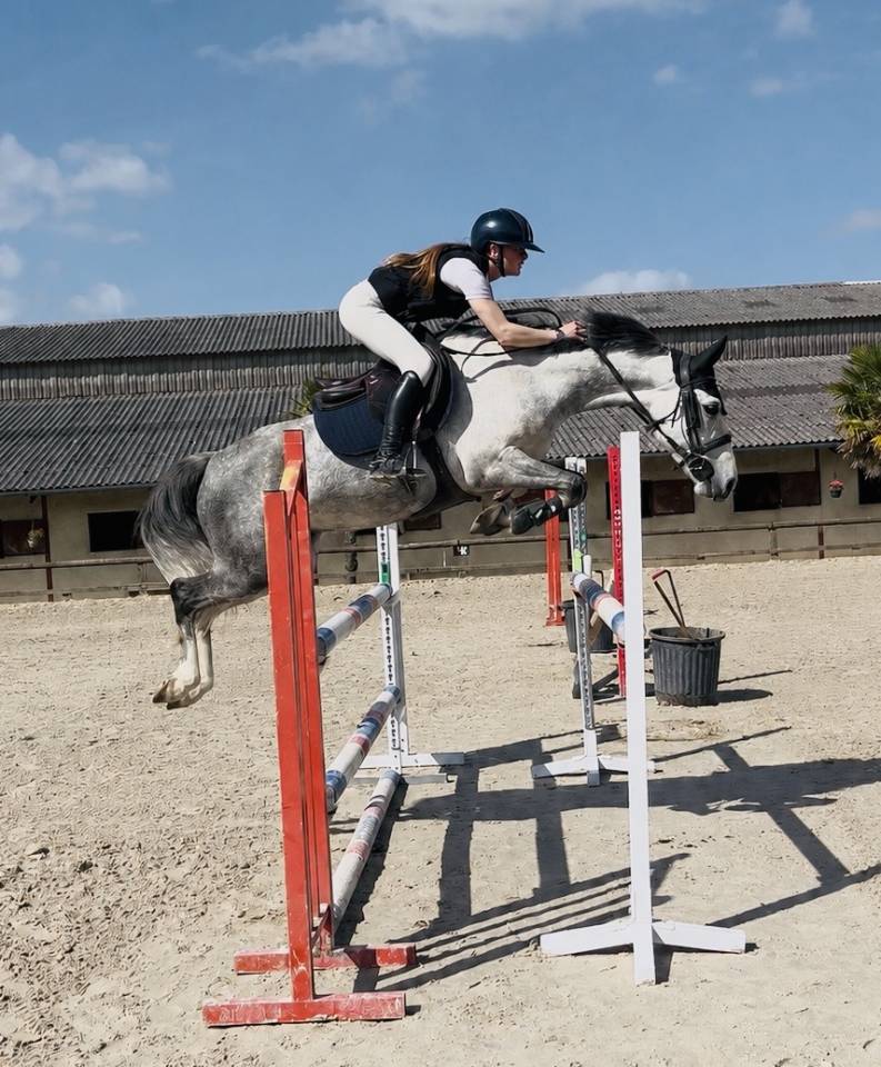 Poney de 6 ans PFS - 148cm - fils de UHELEM DE SEILLE