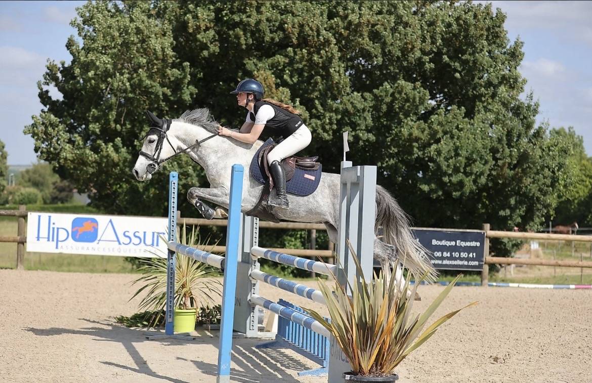 Poney de 6 ans PFS - 148cm - fils de UHELEM DE SEILLE